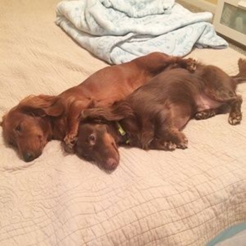 bookmark our closet! ♥ - Picture 4 of 15